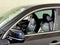 2020 Acura MDX SH-AWD 7-Passenger w/Technology Pkg
