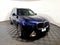 2024 BMW X7 xDrive40i Sports Activity Vehicle