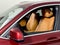 2024 BMW X3 xDrive30i Sports Activity Vehicle