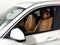 2023 BMW X3 xDrive30i Sports Activity Vehicle
