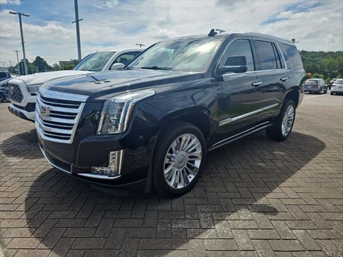 2019 Cadillac Escalade Platinum Edition