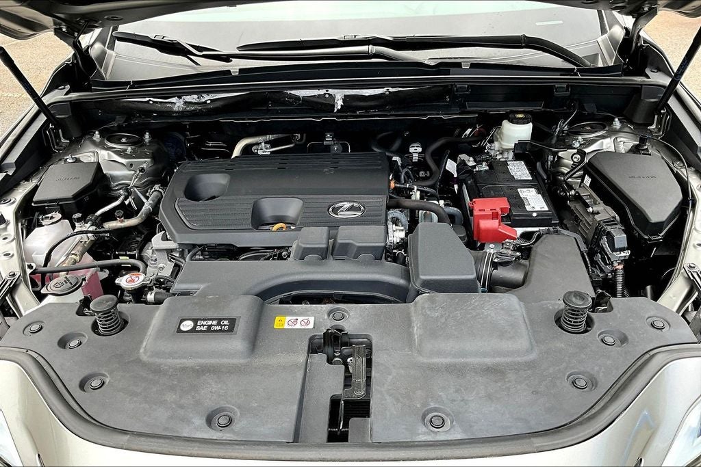 2024 Lexus NX NX 250 Premium