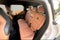 2025 MINI Cooper S Countryman S