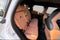 2025 MINI Cooper S Countryman S