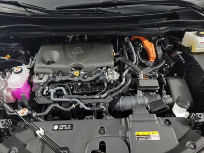 2025 Toyota Sienna XSE 7 Passenger