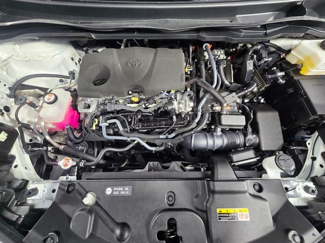 2023 Toyota Sienna Platinum 7 Passenger