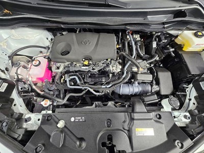 2023 Toyota Sienna Platinum 7 Passenger