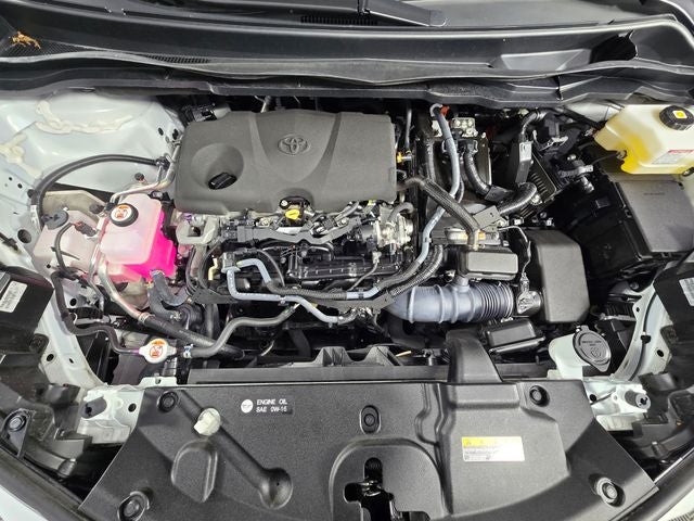 2023 Toyota Sienna Platinum 7 Passenger