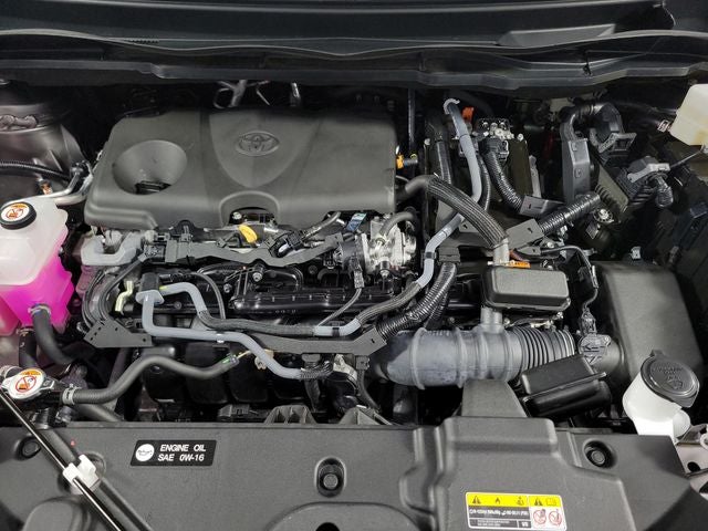 2023 Toyota Sienna Platinum 7 Passenger