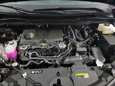 2025 Toyota Sienna XLE 8 Passenger