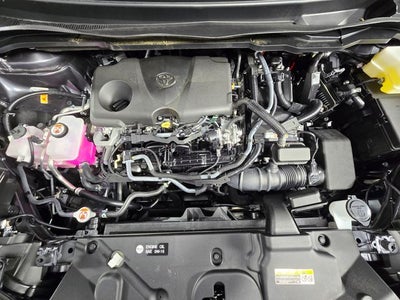 2025 Toyota Sienna XLE 8 Passenger