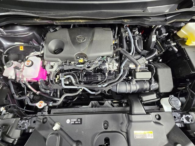 2025 Toyota Sienna XLE 8 Passenger