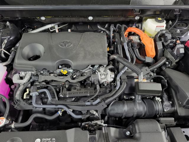 2025 Toyota RAV4 Hybrid LE 4D Sport Utility