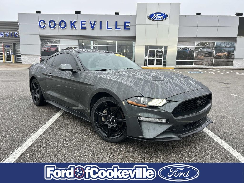 2019 Ford Mustang EcoBoost