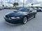 2004 Ford Mustang Mach 1 Premium