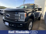 2018 Ford Super Duty F-350 SRW Pickup Platinum