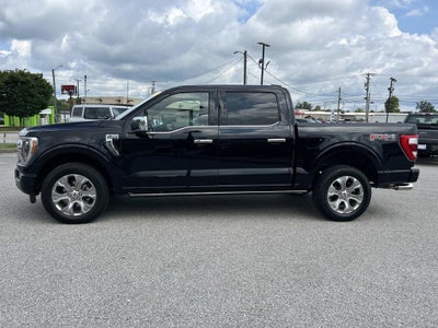 2021 Ford F-150 Platinum