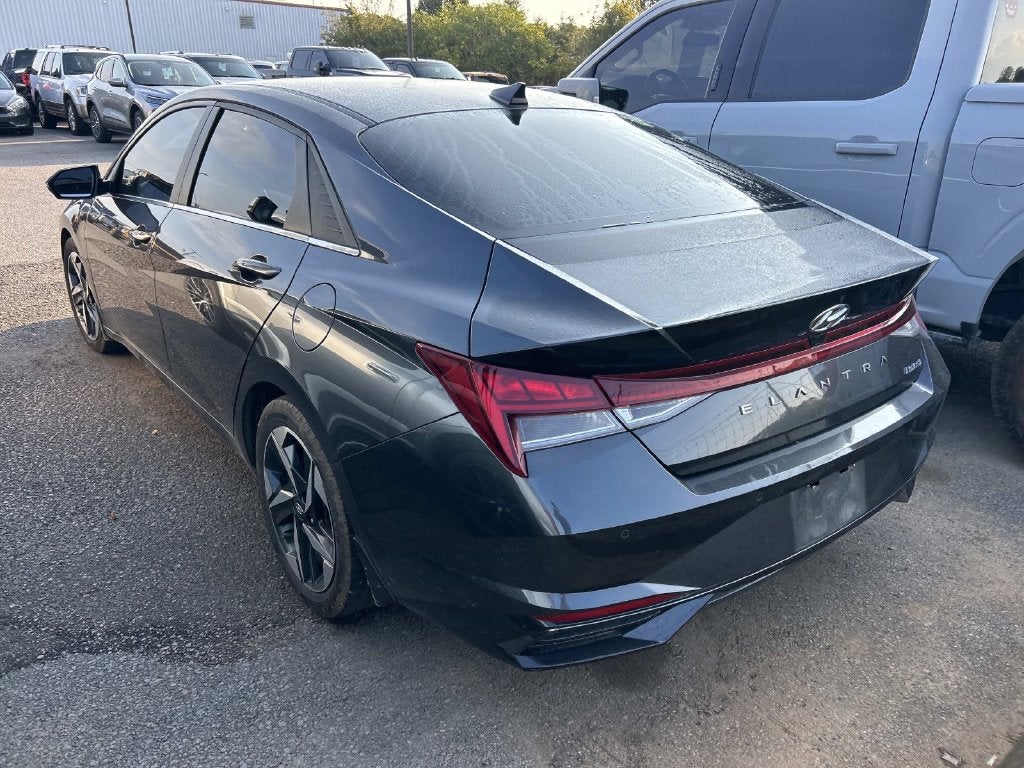 2023 Hyundai Elantra Limited