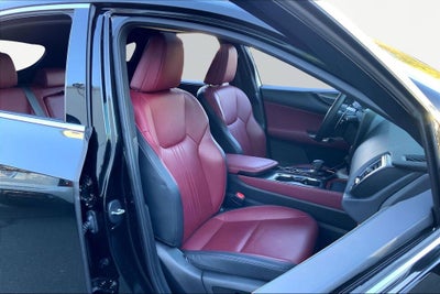 2025 Lexus NX NX 250 Premium