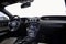 2015 Ford Mustang GT 50 Years Limited Edition