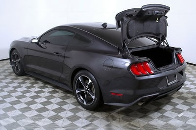 2023 Ford Mustang EcoBoost