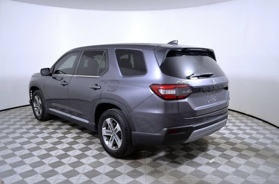 2024 Honda Pilot EX-L 8 Passenger