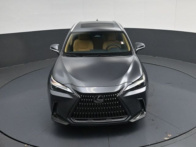 2024 Lexus NX 250 Premium