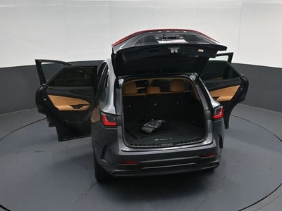 2024 Lexus NX 250 Premium