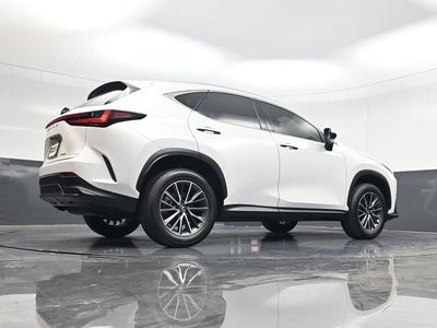 2024 Lexus NX 250 Premium