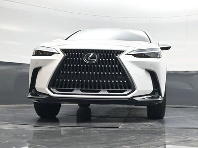 2024 Lexus NX 250 Premium