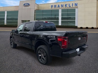 2025 Ford F-150 STX