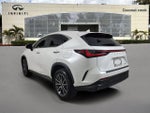 2024 Lexus NX 250 Premium