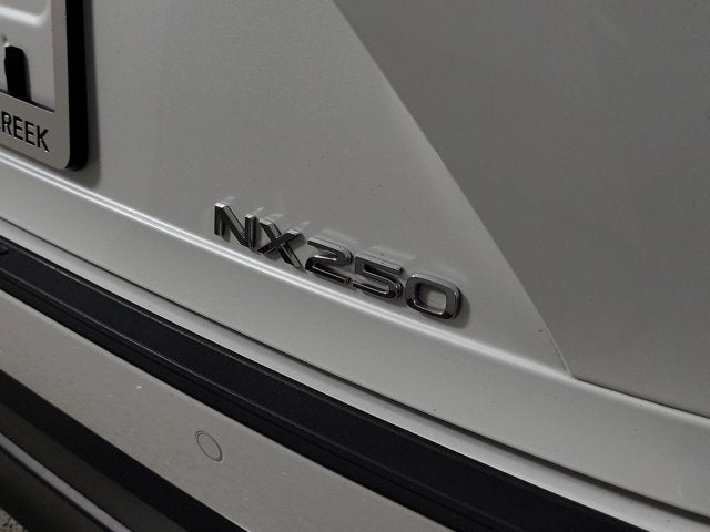 2024 Lexus NX 250 Premium