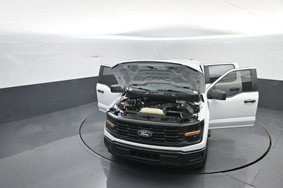 2025 Ford F-150 XL
