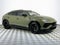2024 Lamborghini Urus S