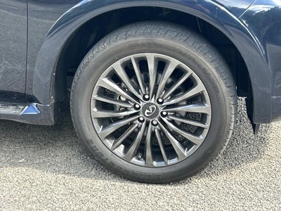 2024 INFINITI QX80 Sensory