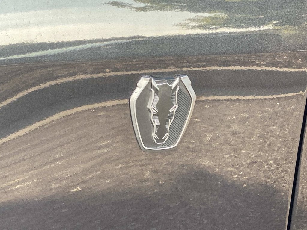 2024 Ford Mustang Dark Horse