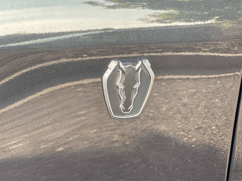 2024 Ford Mustang Dark Horse