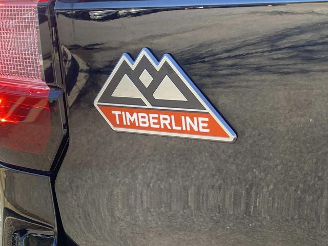 2023 Ford Expedition Timberline