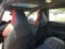 2026 Volkswagen Golf GTI 2.0T SE