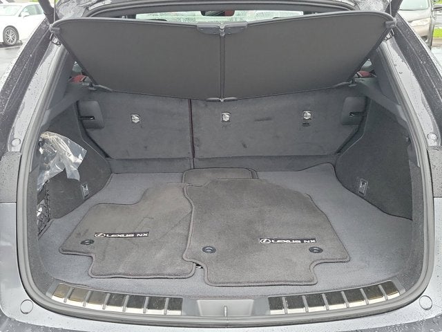 2025 Lexus NX NX 250 Premium