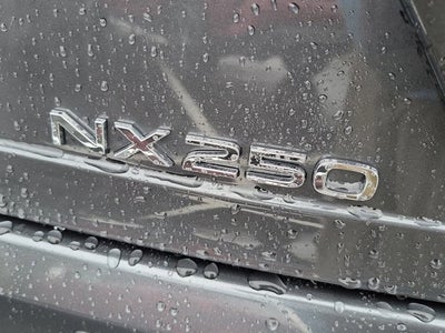 2025 Lexus NX NX 250 Premium