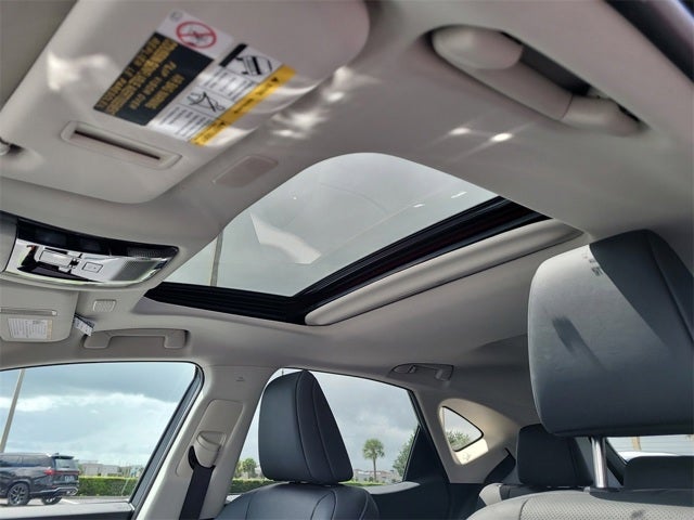 2025 Lexus NX NX 250 Premium