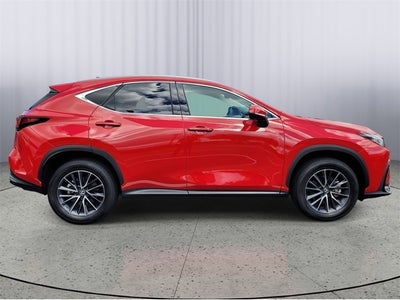 2025 Lexus NX NX 250 Premium