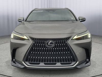 2025 Lexus NX NX 250 Premium