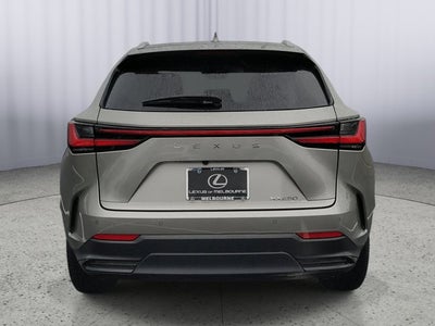 2025 Lexus NX NX 250 Premium