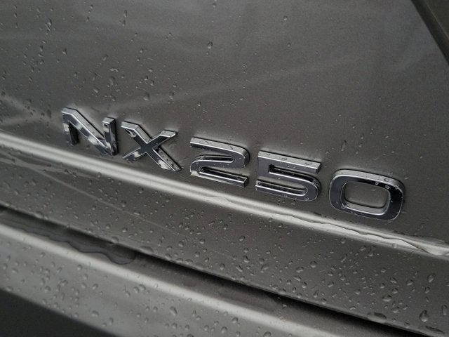 2025 Lexus NX NX 250 Premium